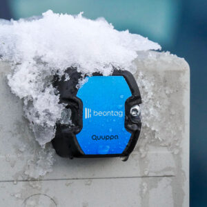 Beontag - Viking Tough Quuppa